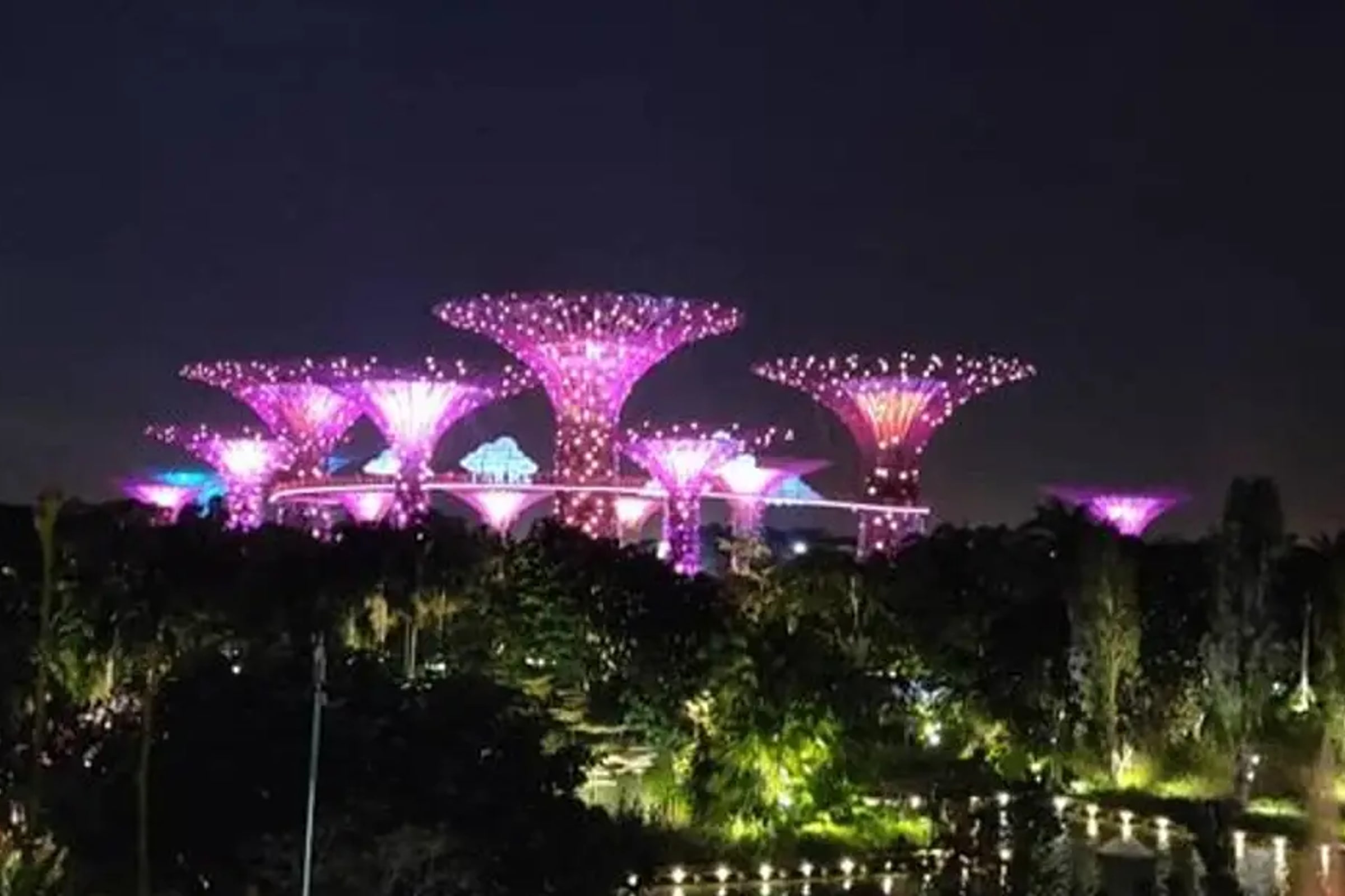 Private Tour: Nighttime Sightseeing with River Cruise